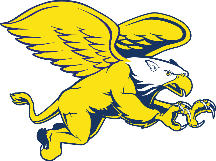 Canisius Golden Griffins 1999-2005 Secondary Logo v2 iron on transfers for clothing